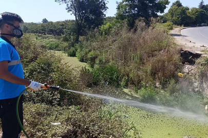 Sakarya’da Zararlılarla Mücadelede Kapsamlı ve Dijital Destekli Çalışmalar