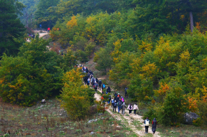 Sonbahar Doğa Yürüyüşleri’nde 9 Rota, 1140 Doğasever Sakarya’da Buluştu